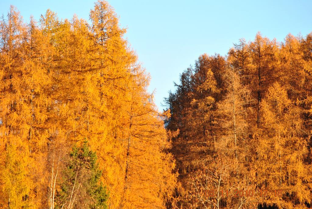 Pensjonat Panorama